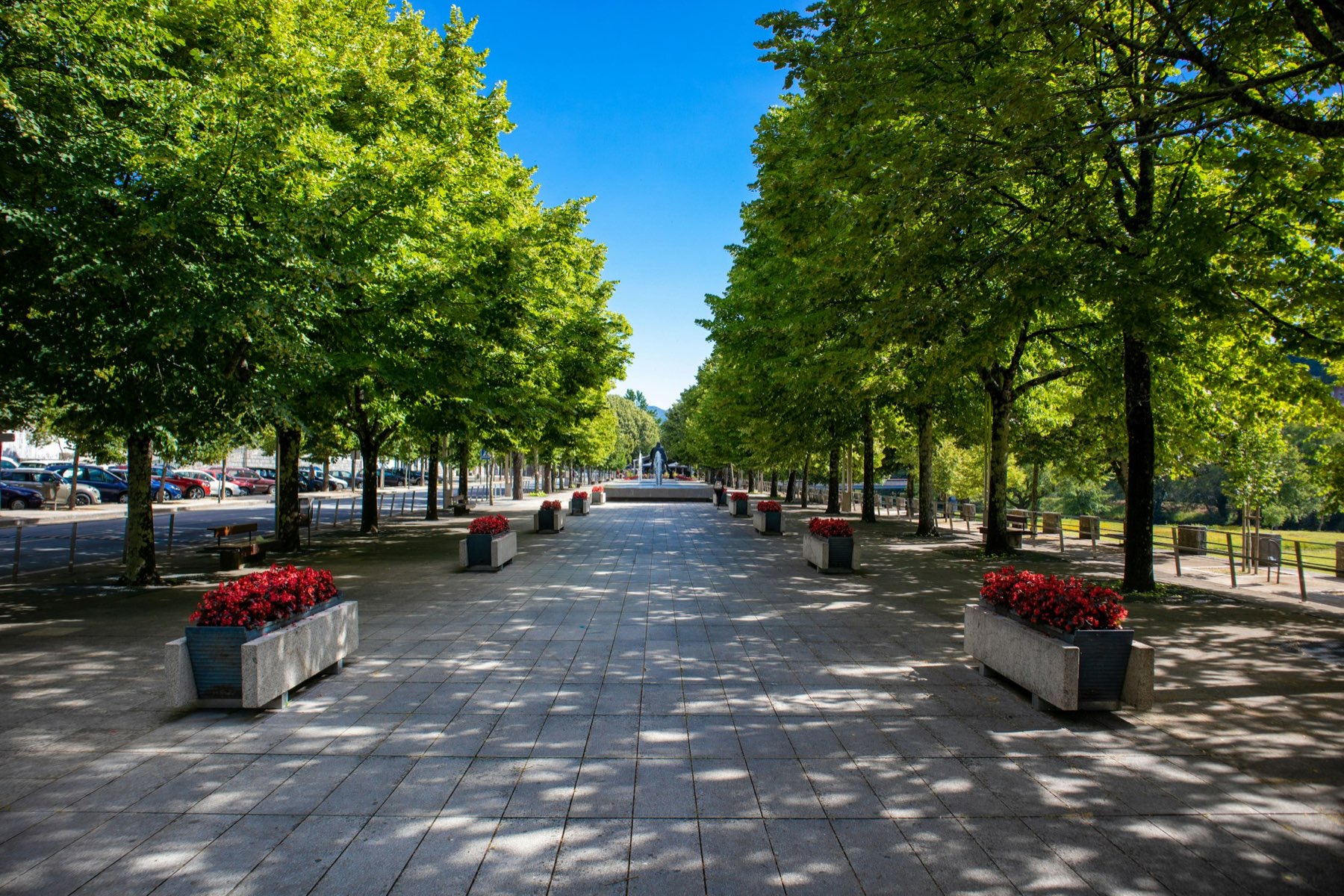 Passeio arborizado e floreiras no Campo do Trasladário